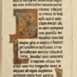 Ćwiczenia z techniki malarstwa na pergaminie z elementami złoceń . Praca studencka